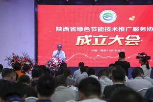 陜西省綠色節能技術推廣服務協會計算機系統服務分會隆重成立