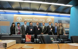 技術推廣服務中心 驅動創新與產業升級的核心引擎