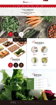 天津網站制作 奔唐網絡之綠色養生食品官網